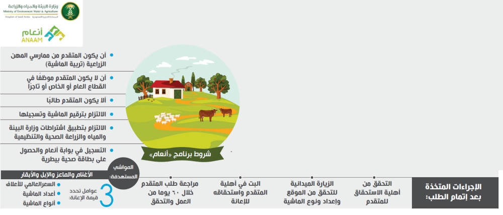 رقم دعم المواشي استعلام عن مكة نيوز