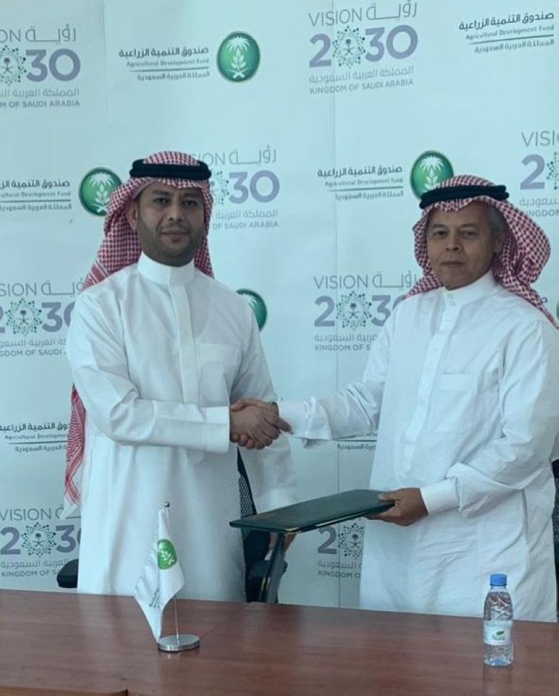 300 مليون ريال لمشاريع دواجن من التنمية الزراعية المدينة