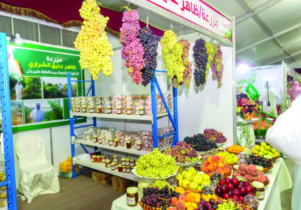 مهرجان الفاكهة المدينة