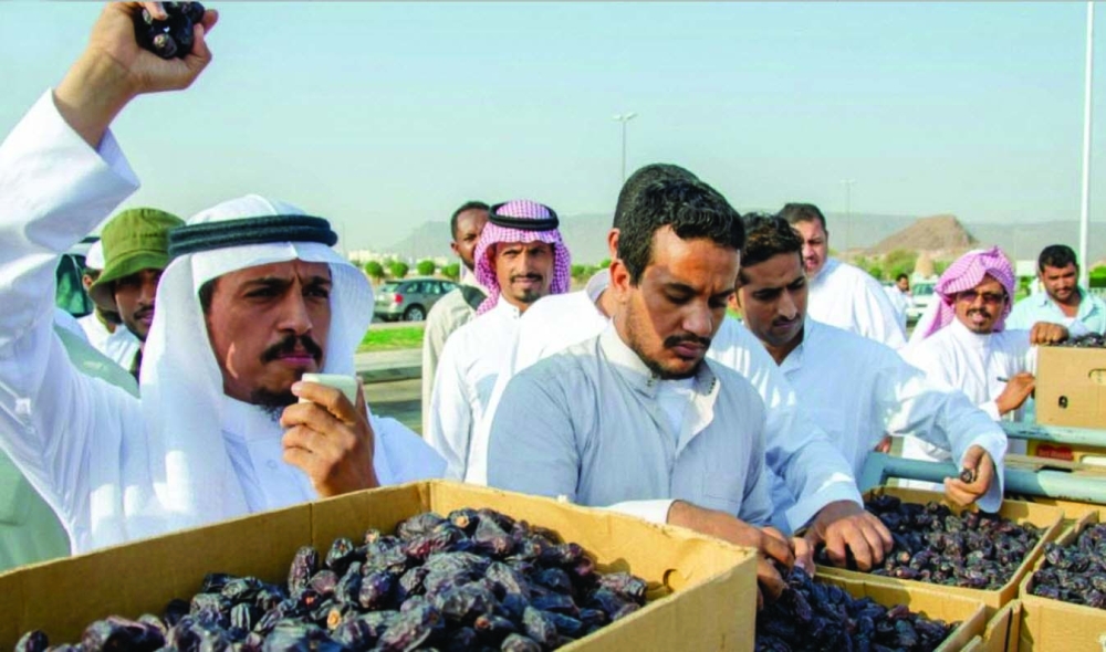 جانب من مهرجان تمورنا بركة