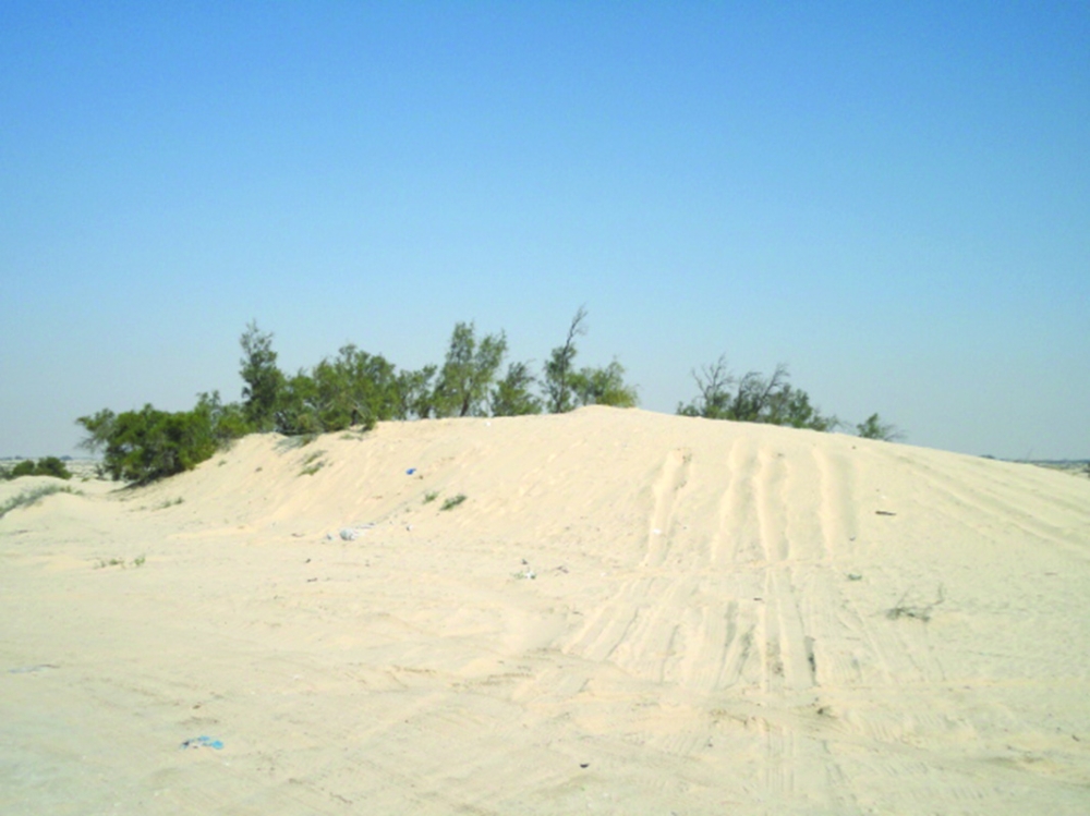رمال الدهناء