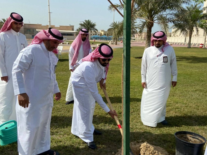 غرس أشجار2