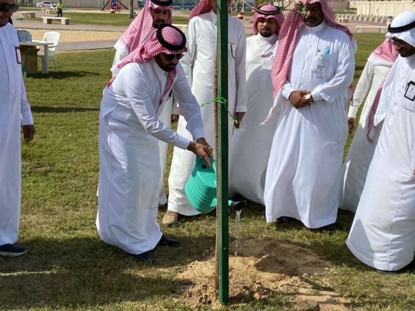 غرس أشجار4