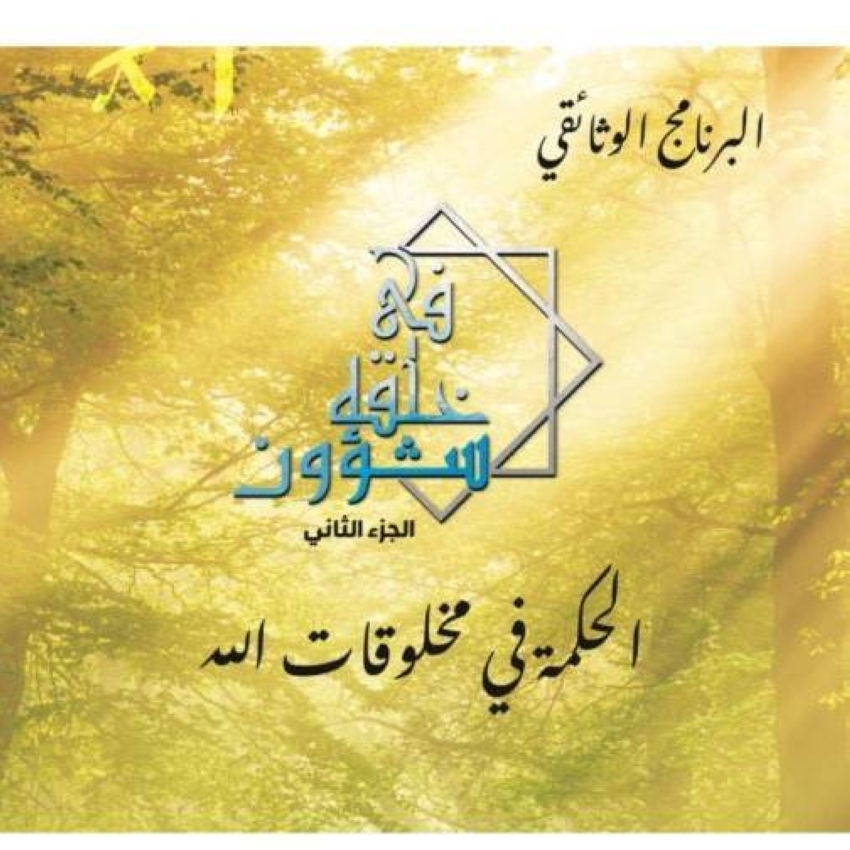 البرنامج الوثائقي