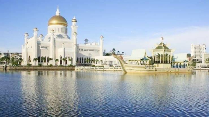 06