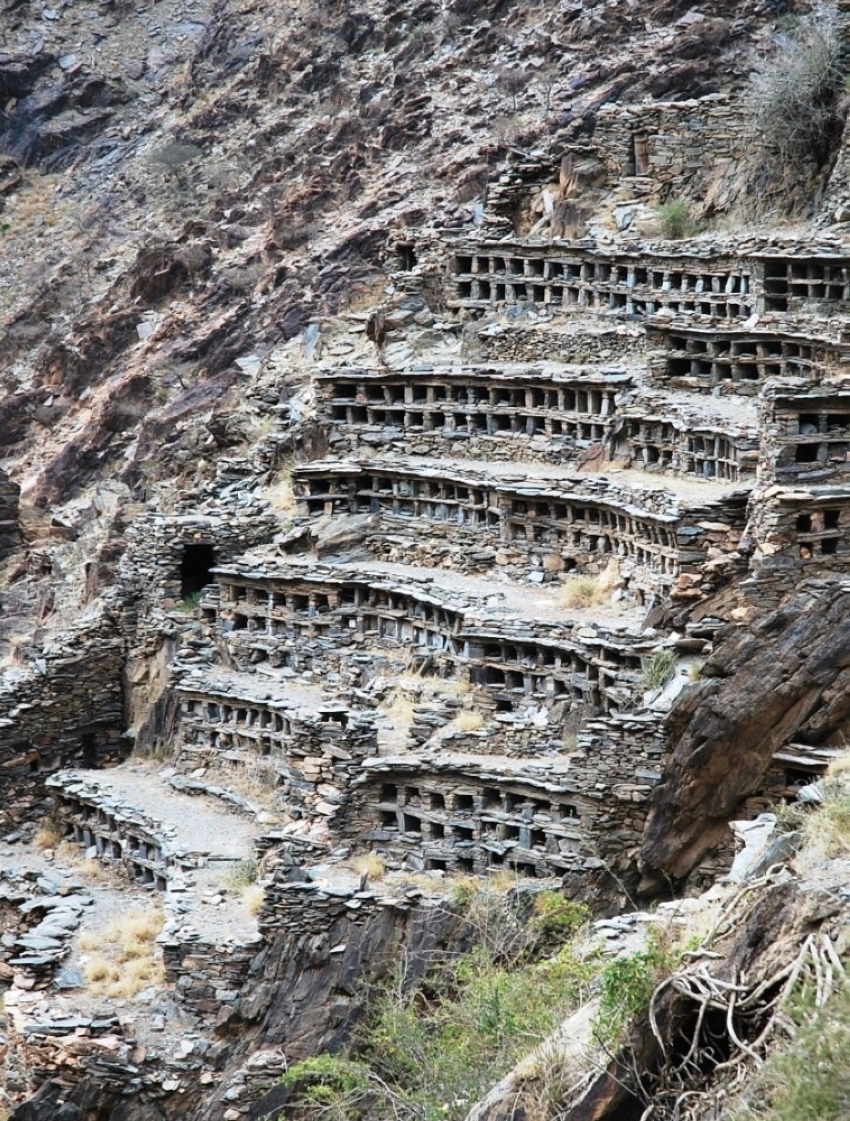 مدرجات النحل