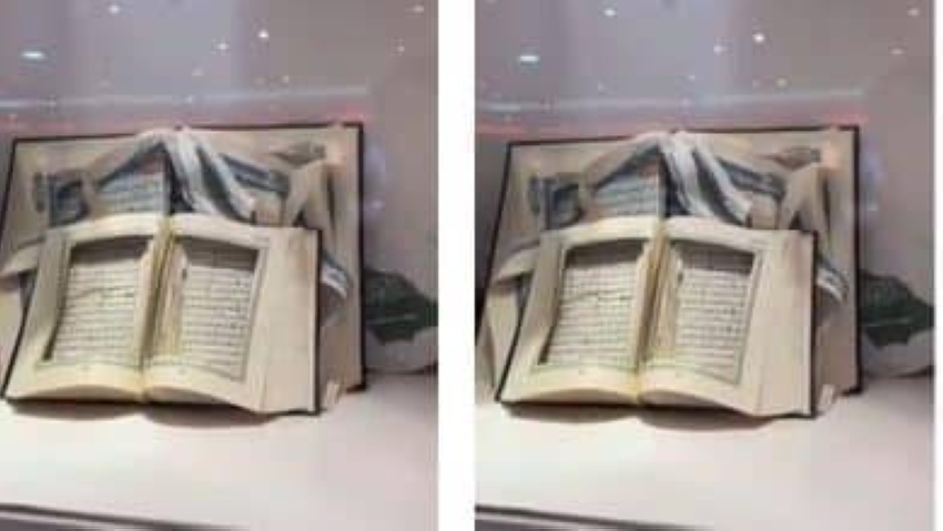 أبو عنبة5