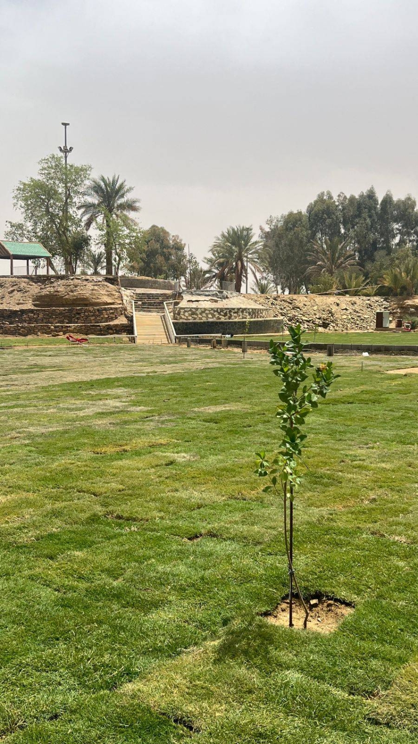 بلدية تيماء تُعيد تأهيل منتزه الأمير فهد بن سلطان بالمسطحات الخضراء 