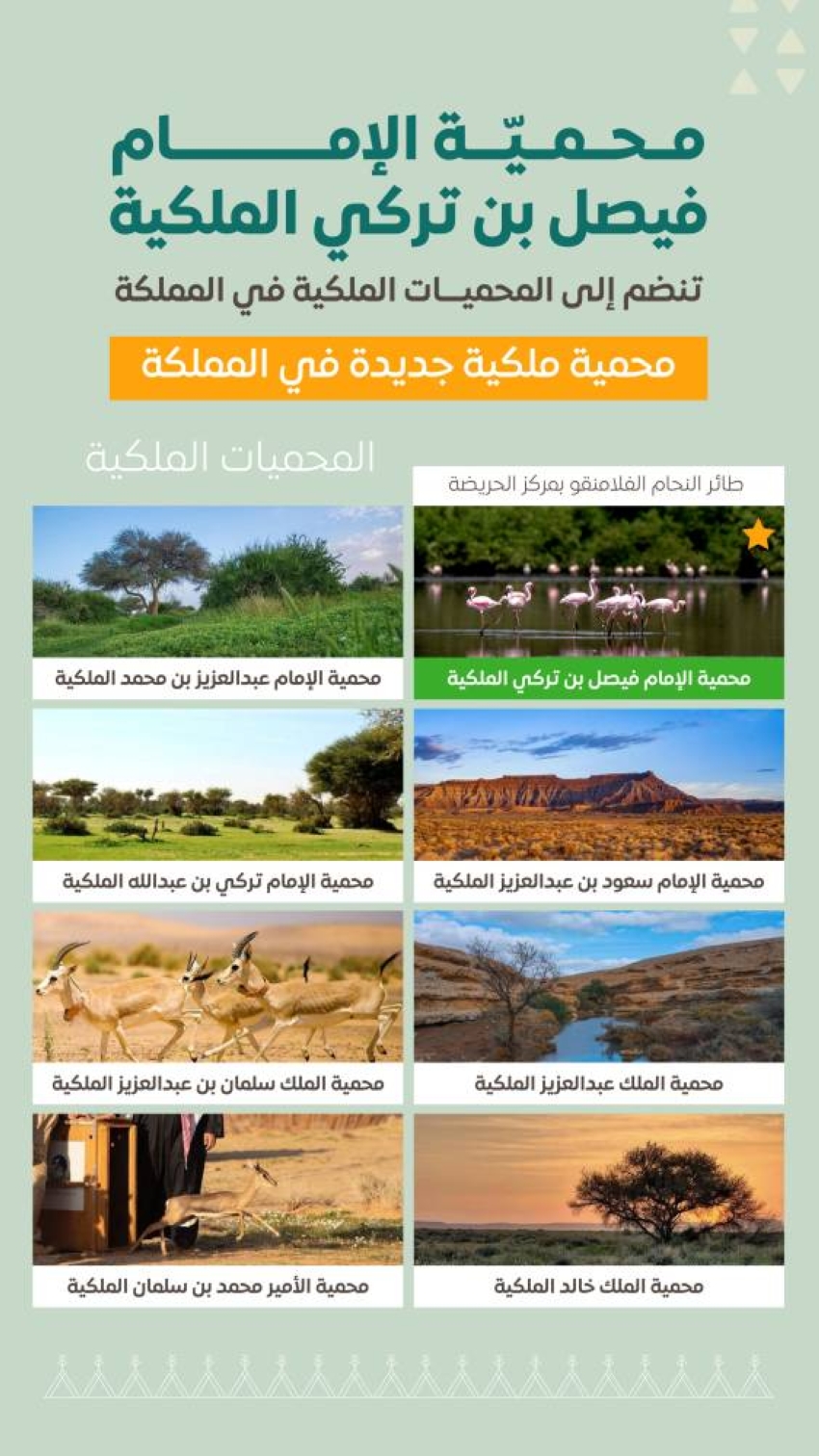 المحمية-02