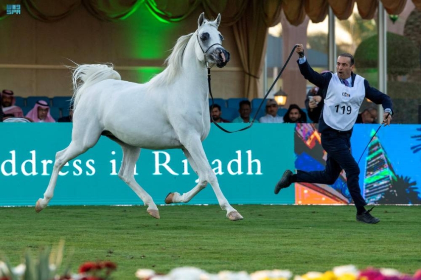 DST_2014486_5487115_99_11_2023121422563292