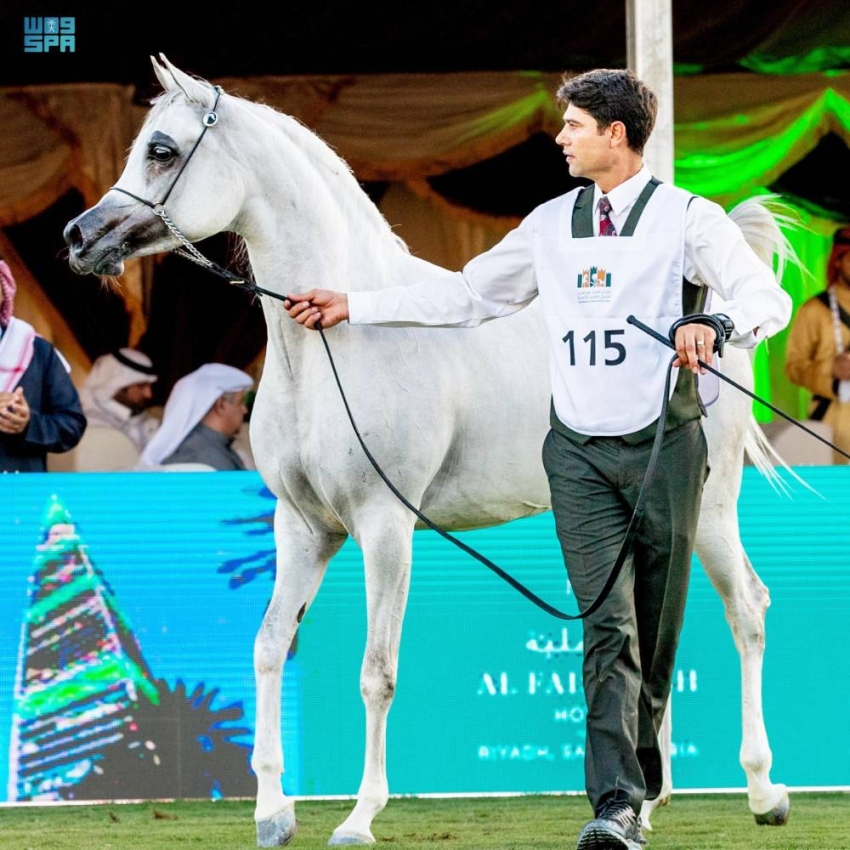 DST_2014486_5487116_99_11_2023121422563292