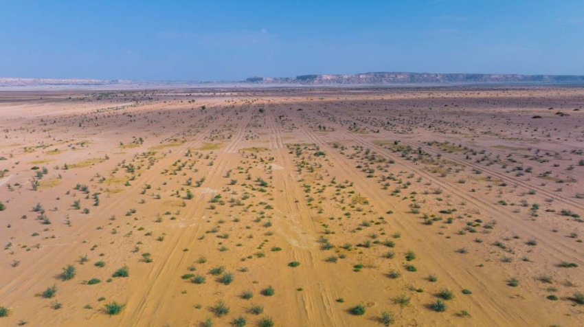 DJI_0902