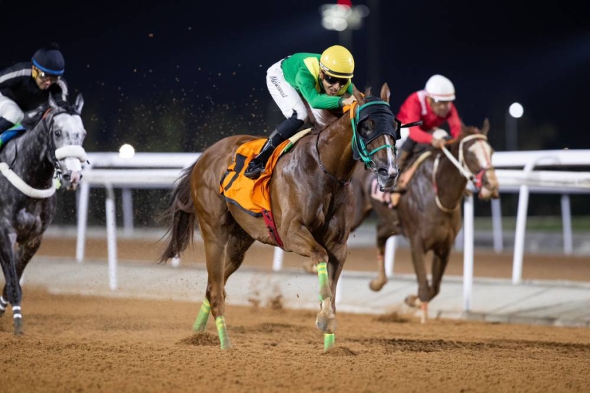 موسم سباقات الطائف أحد أكبر مواسم سباقات الخيل في المملكة