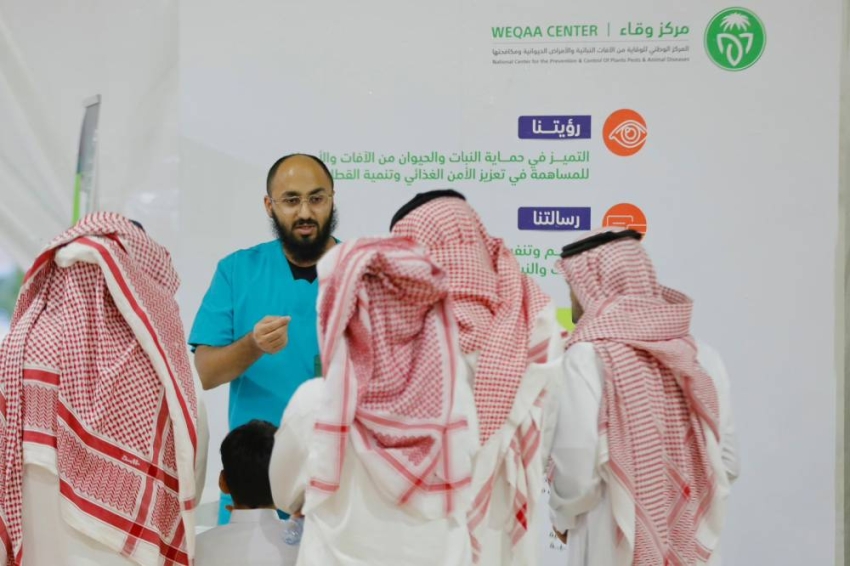 *مهرجان 