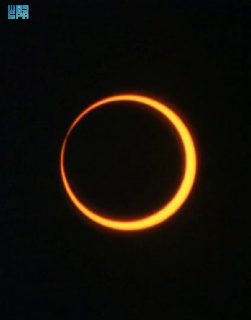 50ff9596-2d67-4b80-b4ab-62416ccb8286