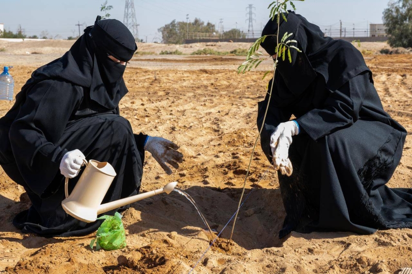 فرع البيئة بتبوك يدشن حملة "نزرعها لمستقبلنا" 