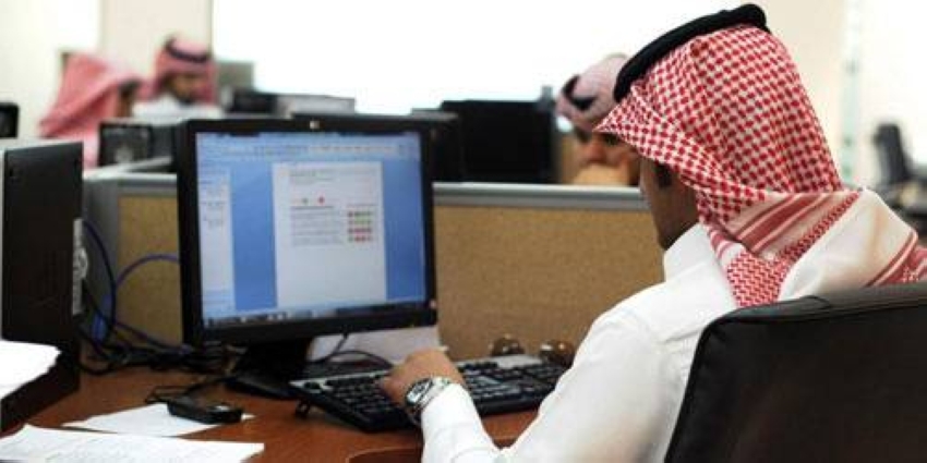 قطاع الخاص