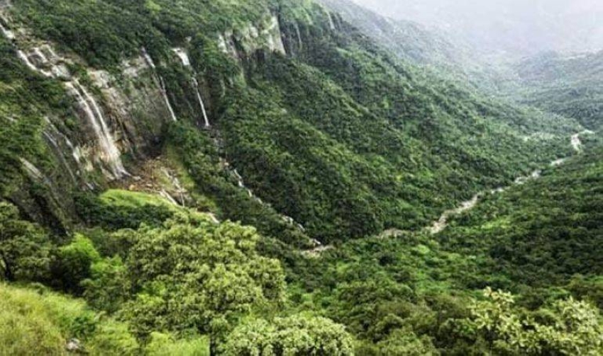 195-230300-top-countries-by-forest-growth-5