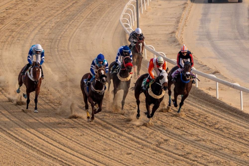 ميدان فروسية الجبيل يقيم سباقه الثالث لكأس مؤسسة الملك عبدالله الإنسانية - جريدة المدينة