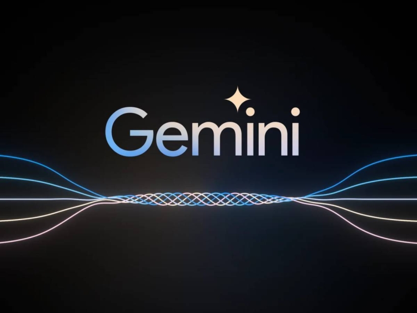 qna_gememi_13_2_24