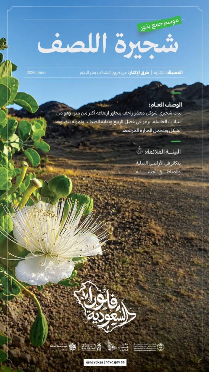 الغطاء النباتي يعلن انطلاق موسم جمع بذور اللصف