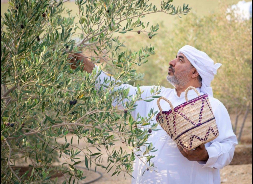د.الغامدي 