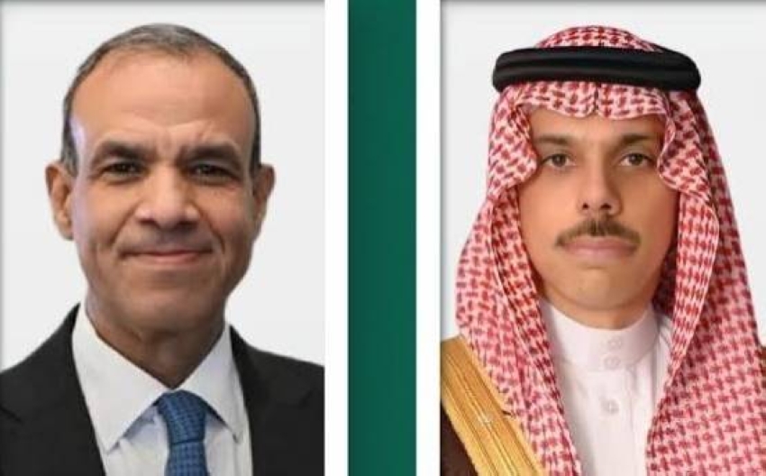 وزير الخارجية ونظيره المصري