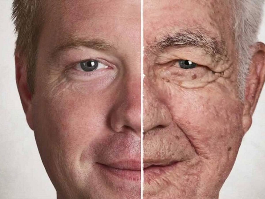 qna_-senility_01_07_2026