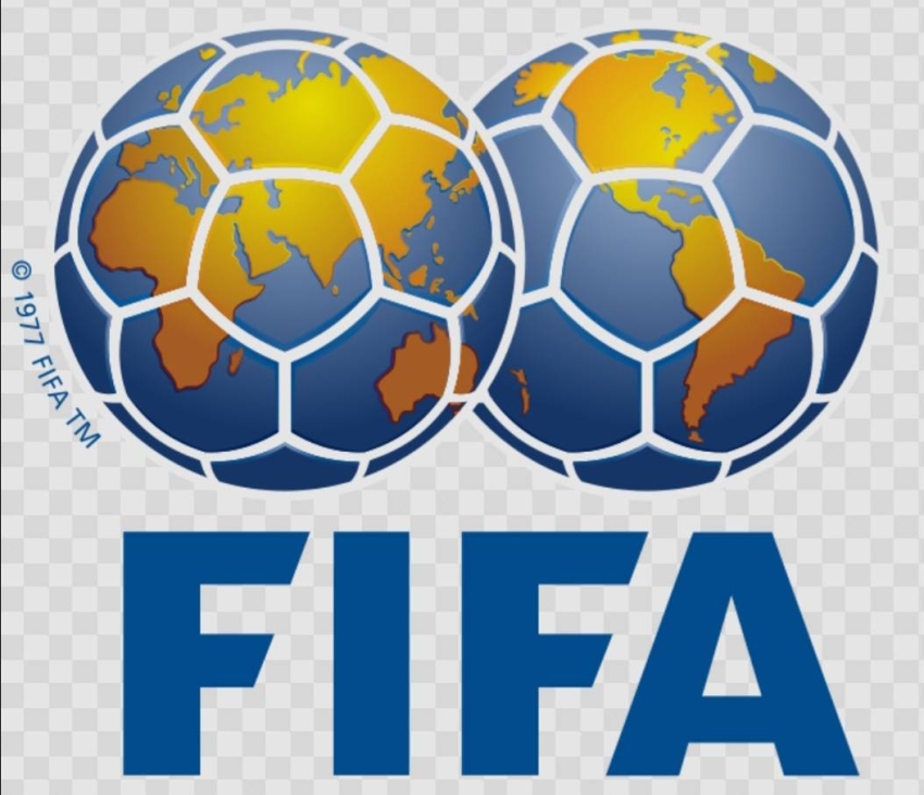 الاتحاد الدولي لكرة القدم 