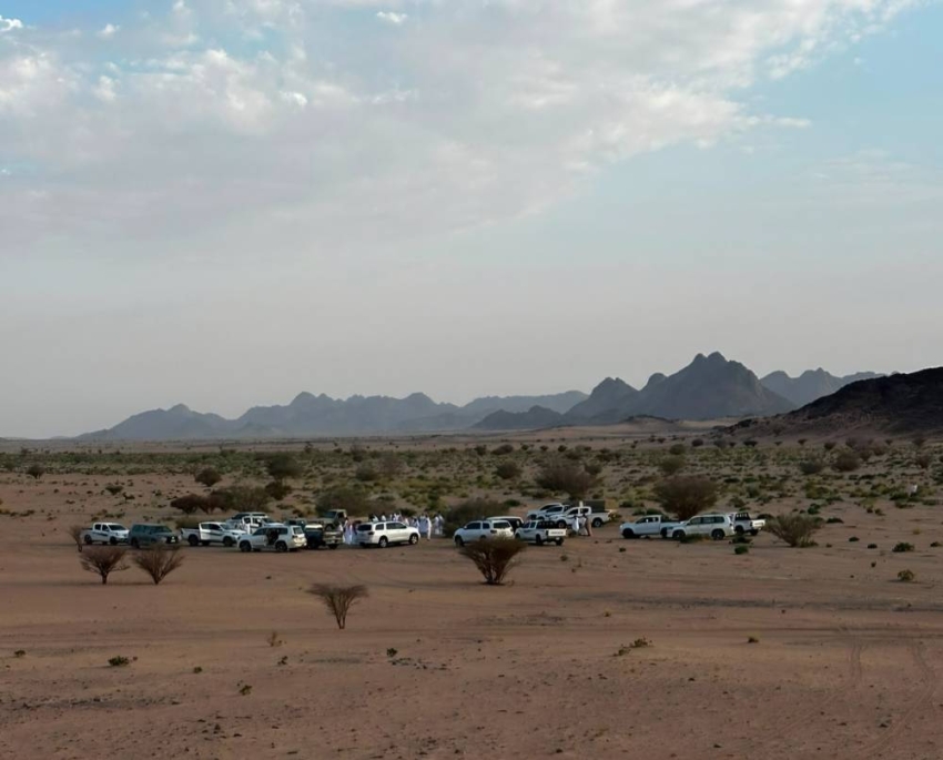 موقع العثور على المفقود