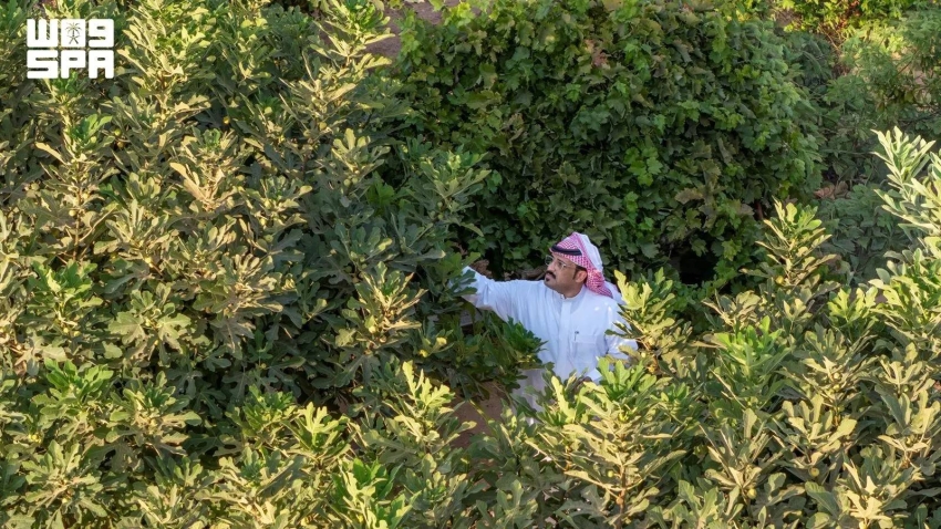 34