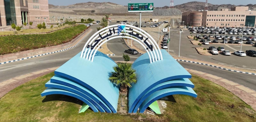 جامعة الباحة