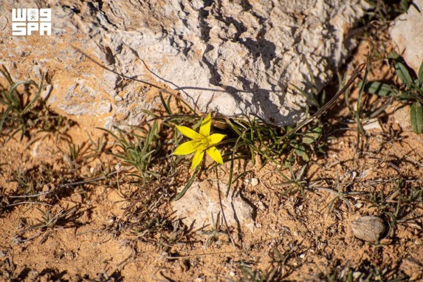 53