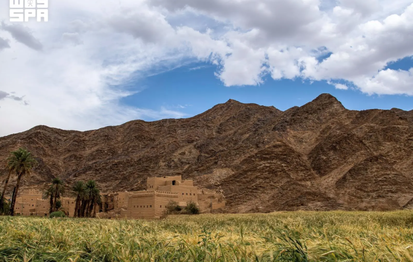 نجران.. تنوّع بيئي من سفوح الجبال إلى رمال الربع الخالي